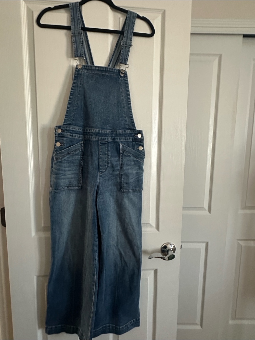 Evereve Wide Leg Denim Overalls - Blue